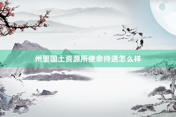 州里国土资源所使命待遇怎么样