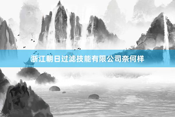 浙江朝日过滤技能有限公司奈何样